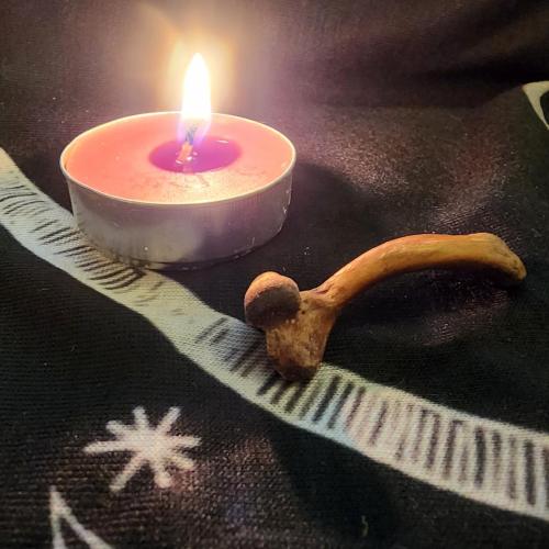 Single Piece Reading