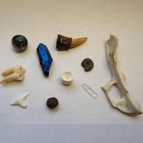 Bone Reading Set #11