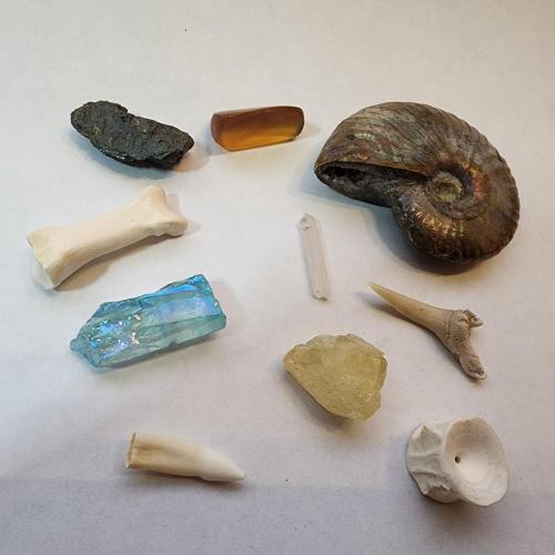 Bone Reading Set #10