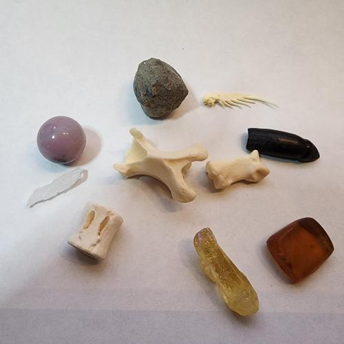 Bone Reading Set #12